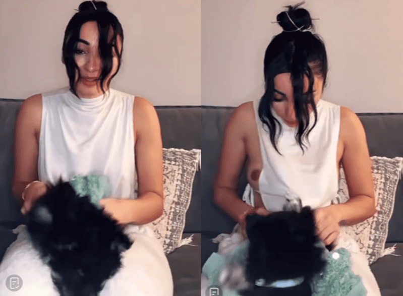The dog wants to help his owner make better content